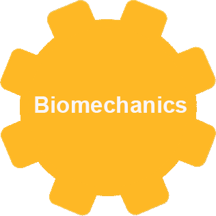 Biomechnaics